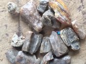 Почти 12 кг янтаря обнаружили пограничники при обыске авто (Видео)