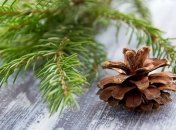 Старый Новый год-2019: видео поздравления и проза для самых близких