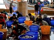 Снимки из жизни людей в прекрасном Таиланде (Фото)