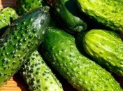 Выводит токсины из организма: польза огурцов для организма
