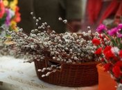 Вербна неділя 2022: що категорично не можна робити у свято