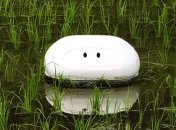 В Японии изобрели утку-робота, который поможет избавится от сорняков на рисовых полях (Видео)