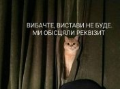 Кошка пришла домой "с мужиком". Что делать? Тоже кормить? Уморительные шутки про домашних питомцев