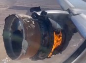 ЧП с самолетом в США: компания Boeing рекомендовала прекратить полеты своих лайнеров (видео)