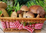 Поздравления с Днем грибника 2021