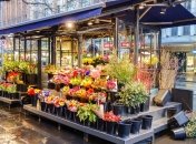 Цветы посреди города