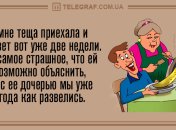 Позитивное начало дня: утренние анекдоты 4 июня 