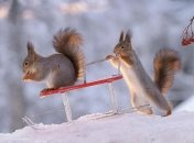 Морозы пока отступили