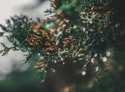 Праздник "День Аверкия" отмечается в 2023 году 22 октября (ранее 4 ноября)