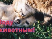 #водутваринам: в Украине запустили флешмоб в защиту животных