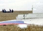 Министр транспорта Малайзии не видит вины РФ в катастрофе МН17