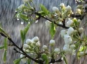 Погода на неделю: в Украину идет похолодание и дожди