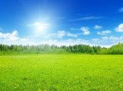 Погода на сегодня: в Украине будет солнечно