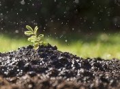 Стало известно, сколько плодородной земли уже уничтожили люди 