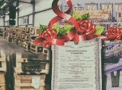 Приветствие российским женщинам от российского правительства выглядит довольно жестоко