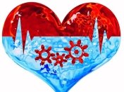 Регенерация возможна: раскрыты молекулярные механизмы, которые восстанавливают поврежденные клетки сердца