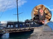 Уплыть у нее далеко не получилось