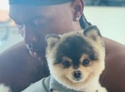 Дом Старриджа обокрали: грабители украли собаку