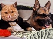 Зробили розклад Таро на фінанси для кожного знака Зодіаку на тиждень із 1 по 7 квітня 2024 року