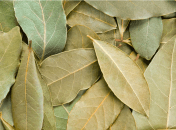 О проблеме можно будет забыть