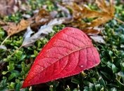 Фортуна отвернется? ТОП 5 самых опасных дней в ноябре 2019 года