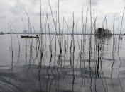 На Филиппинах спасли 55 пассажиров с затонувшего парома