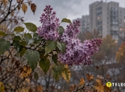 В столице заметили необычное явление