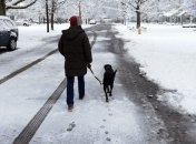 После предсказаний сурка о приходе весны США завалило снегом