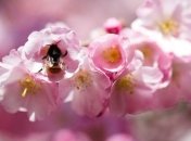 В Украину наконец-то возвращается тепло 