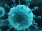 Ученые установили механизм распространения вируса гриппа