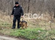 На месте обнаружения останков работали правоохранители