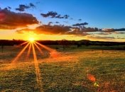 Погода в Украине на сегодня: тепло пришло в страну