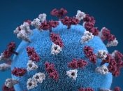 Ученые: COVID-19 может размножаться в кишечнике человека