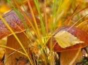 Прогноз погоды на 16 октября: сухо и морозно