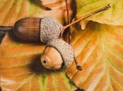 Сухо, но прохладно: синоптики дали прогноз погоды на ближайшие дни