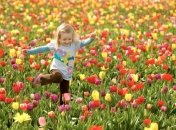 17 мая. Приметы дня