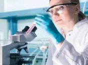 Найдена молекула, способная улучшить память и уменьшить деградацию Альцгеймера