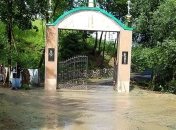 Поваленные деревья и разрушены мосты: на Закарпатье сильный ливень затопил село 