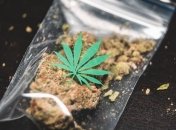 В Испании преступная группировка занималась контрабандой мигрантов и наркотиков