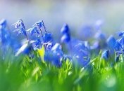 Возвращаются ночные морозы: в Украине резко похолодает 