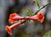 В ближайшие дни осадки на большей части Украины прекратятся