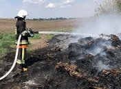 Спасатели потушили пожар на свалке в Киеве