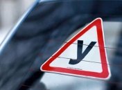 Кабмин предусмотрел оплату курсов вождения лицам с инвалидностью