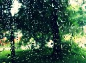 Погода в Украине 11 июня: пасмурно, возможен дождь с грозой