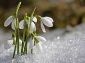 Синоптики рассказали, когда в Украину придет настоящее тепло