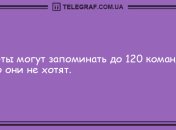 Улыбайтесь чаще: вечерние анекдоты 