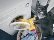 Очистить одежду от волос перед стиркой можно несколькими сопосбами