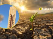 Чим загрожує спека та посуха в Україні