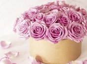 Оли невероятно коммуникабельные и общительные