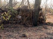 В Донецкой области нашли тайник с боеприпасами 